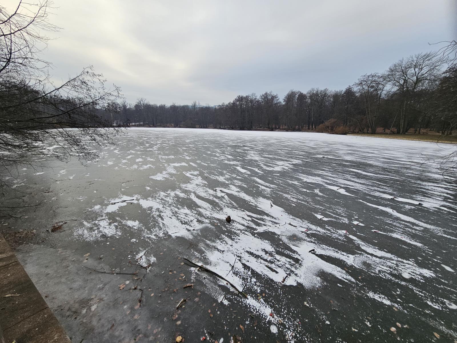 Teplice -    Zámecký rybník