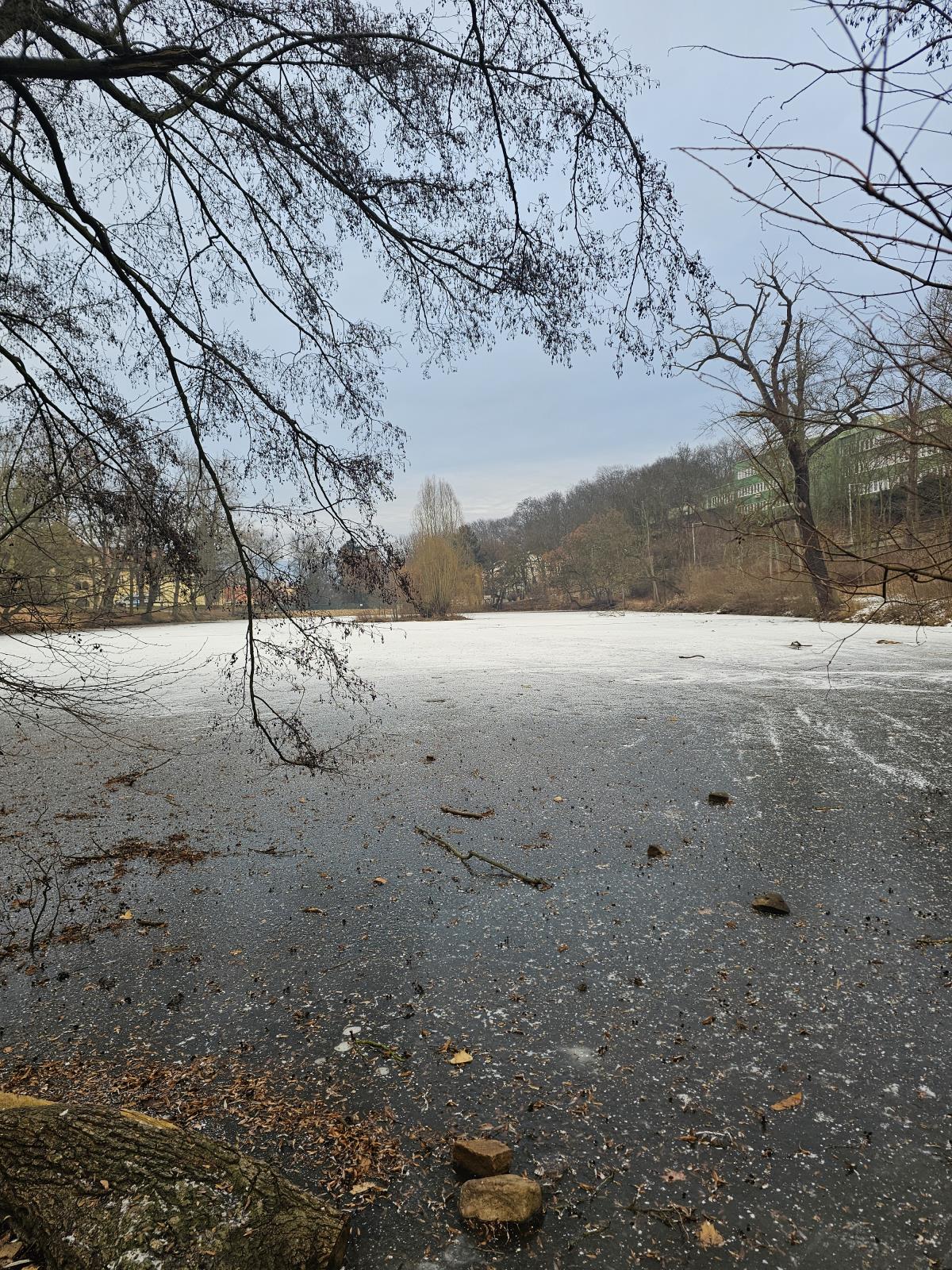 Teplice - Zámecký rybník dolní