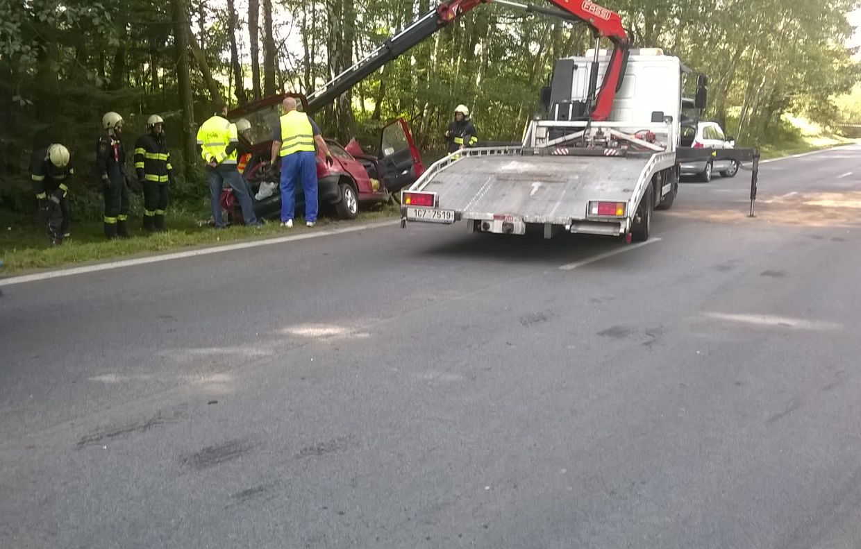 Trag. DN Střítež 6.jpg