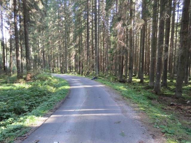 Tragická DN - Stožec - 01.JPG