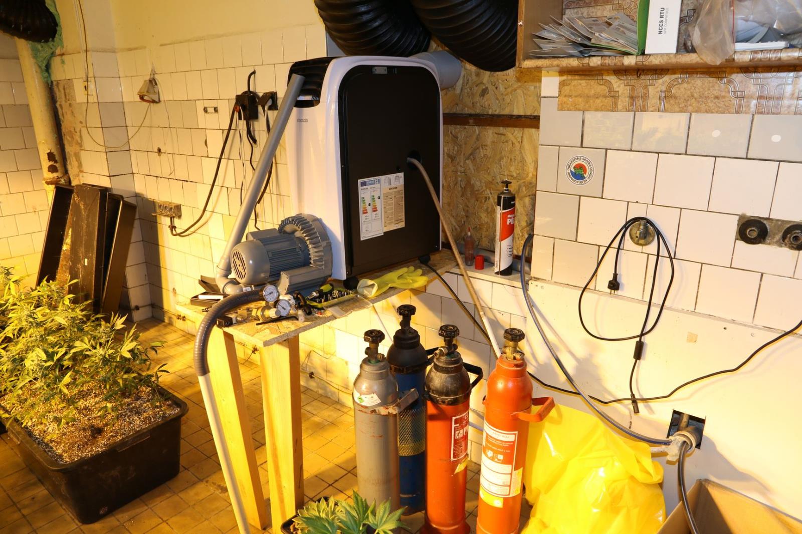 Trutnovsko - pěstírna konopí