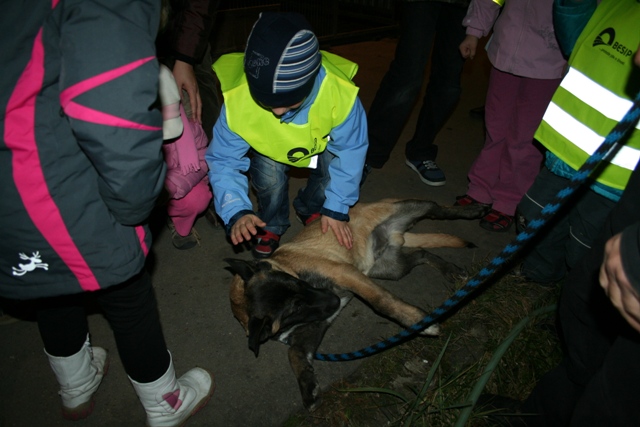U policejních psovodů2.JPG
