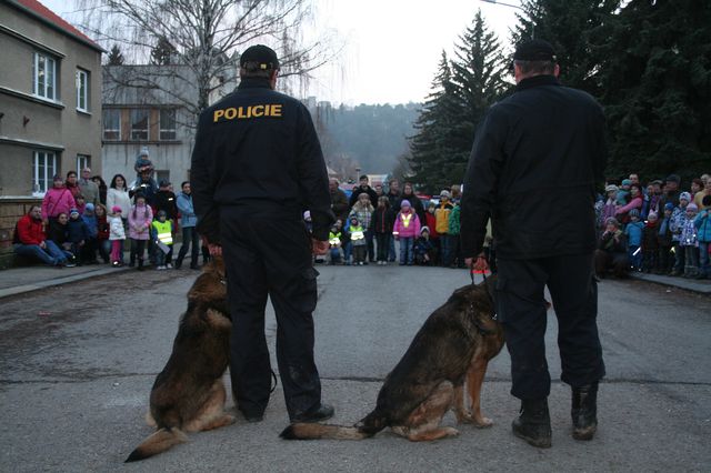 Ukázka práce policejních psů.JPG