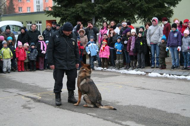 Ukázka psí poslušnosti.JPG
