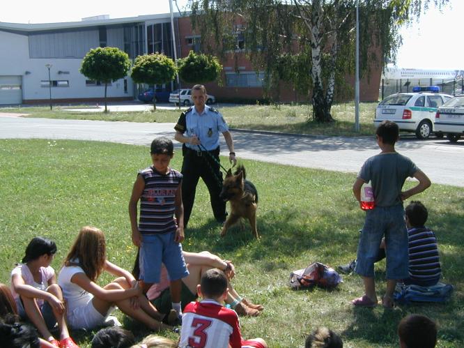 Ukázka výcviku služebních psů.JPG
