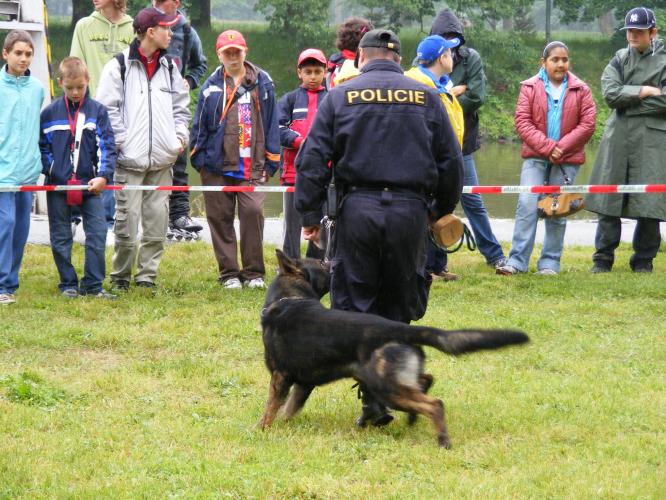 Ukázka výcviku služebního psa
