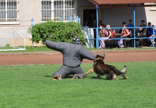 Ukázky policejních činností/015.jpg