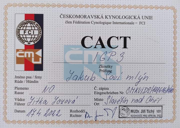 Úspěšný výkon policistky se psem Kubou
