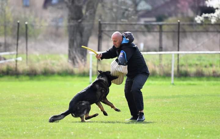 Úspěšný výkon policistky se psem Kubou
