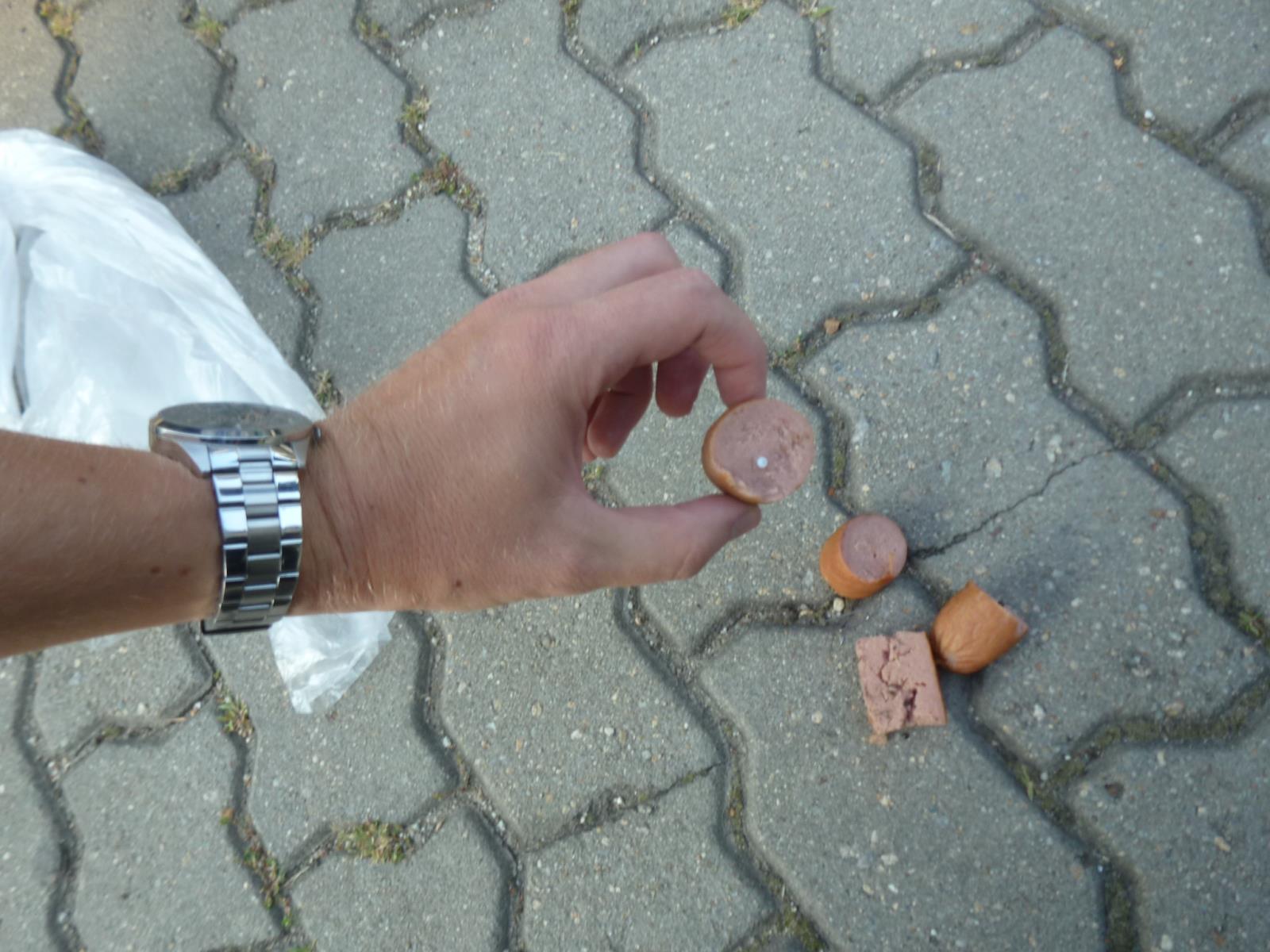 Uzeniny návnada 2.JPG