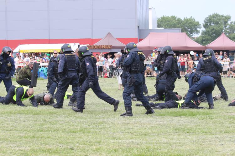 VIII. DEN S  POLICIÍ (24)