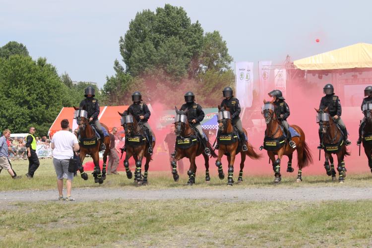 VIII. DEN S  POLICIÍ (27)