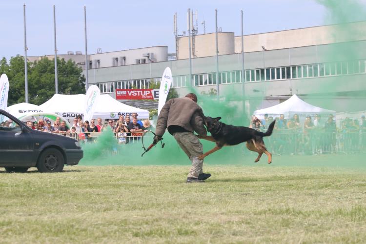 VIII. DEN S  POLICIÍ (28)