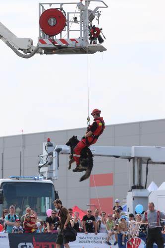 VIII. DEN S  POLICIÍ (29)