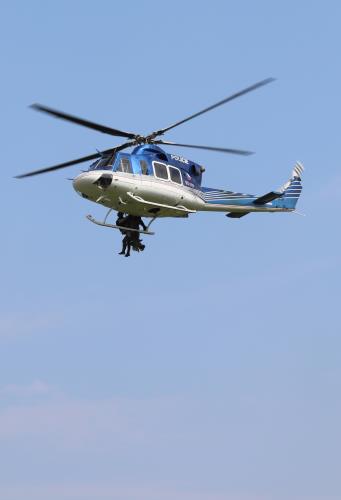 VIII. DEN S  POLICIÍ (33)