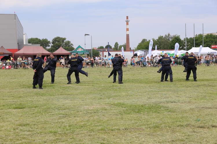 VIII. DEN S  POLICIÍ (9)