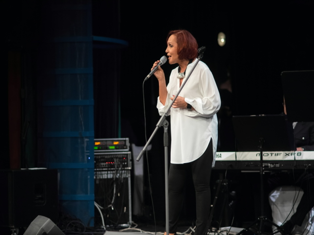 Vánoční benefiční koncert 2017
