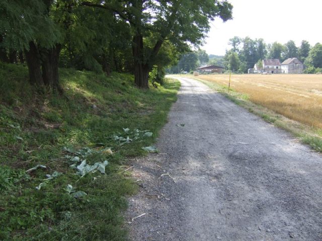 Velká Kraš - stopy u silnice