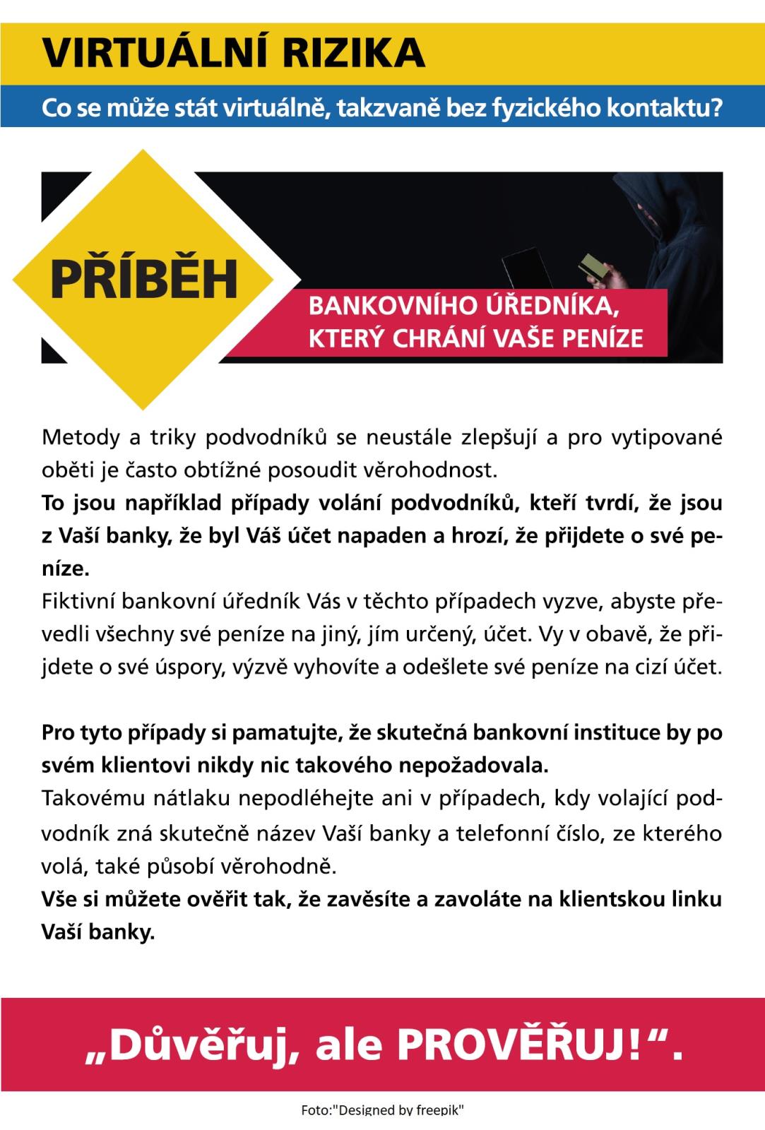 Virtuální rizika