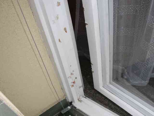 Vloupání do bytů v přízemí - Věkoše