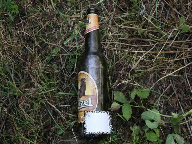 Vloupání do chatky v Chlumci nad Cidlinou