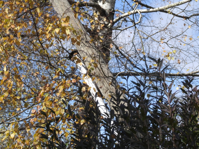 Vrchlabí 25.10.