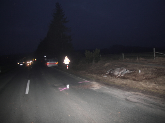Výšinka 15.3.