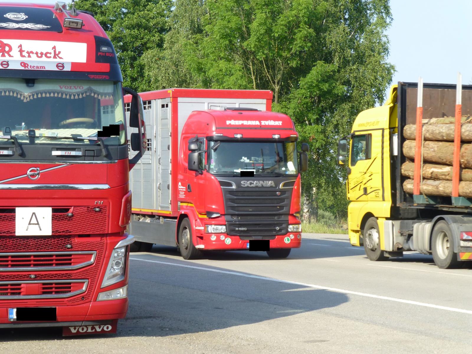 Výsledky DBA „ROADPOL“