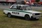 X. Den s policií (231)