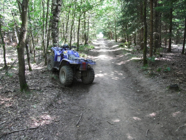 Yamaha 350