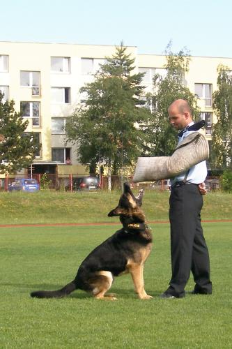 Z preventisty policejní figurant
