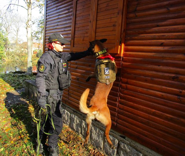 "ZABEZPEČTE SE"