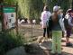 ZOO