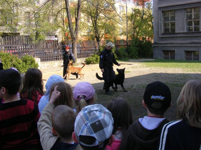 ZŠ Kladno Amálská 