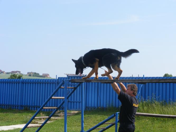 ZŠ Radenín  na ÚO - 6. 6. 2011 - 05.jpg