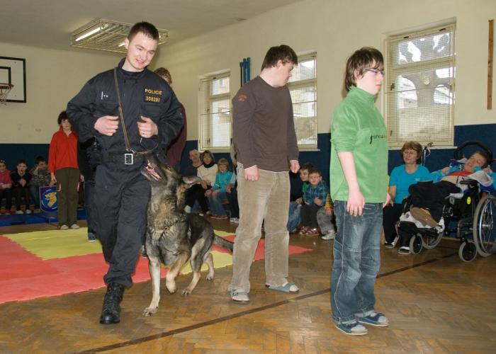 ZŠ Slezského odboje-canisterapie-VII.JPG