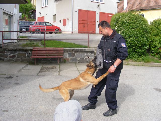 ZŠ a MŠ Zubčice 5.JPG