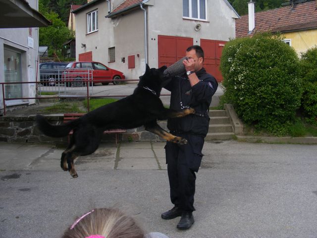 ZŠ a MŠ Zubčice 6.JPG