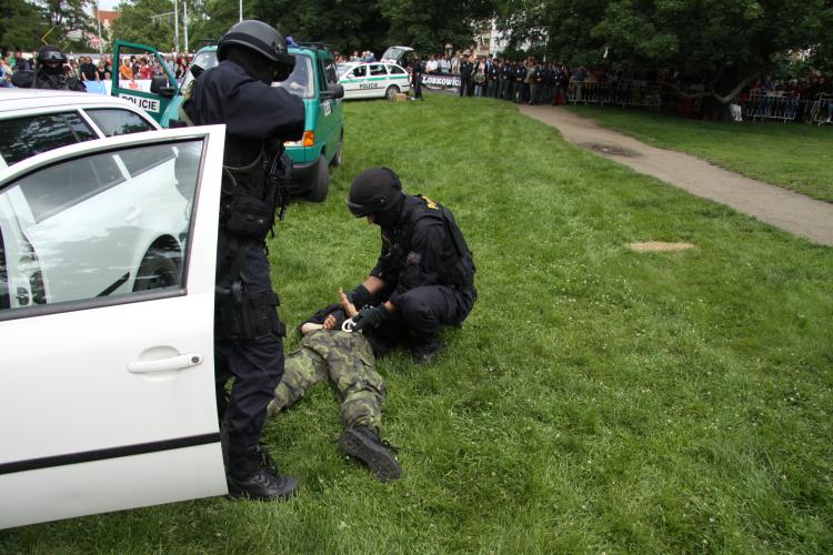 Zadržení pachatele