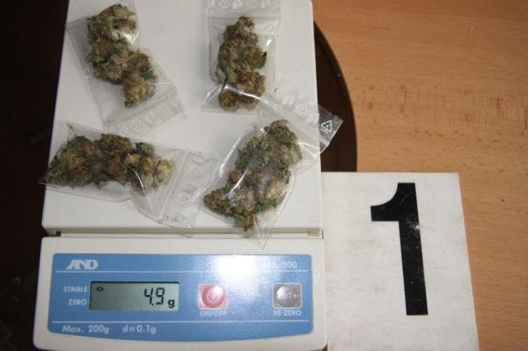 Zajištěná marihuana