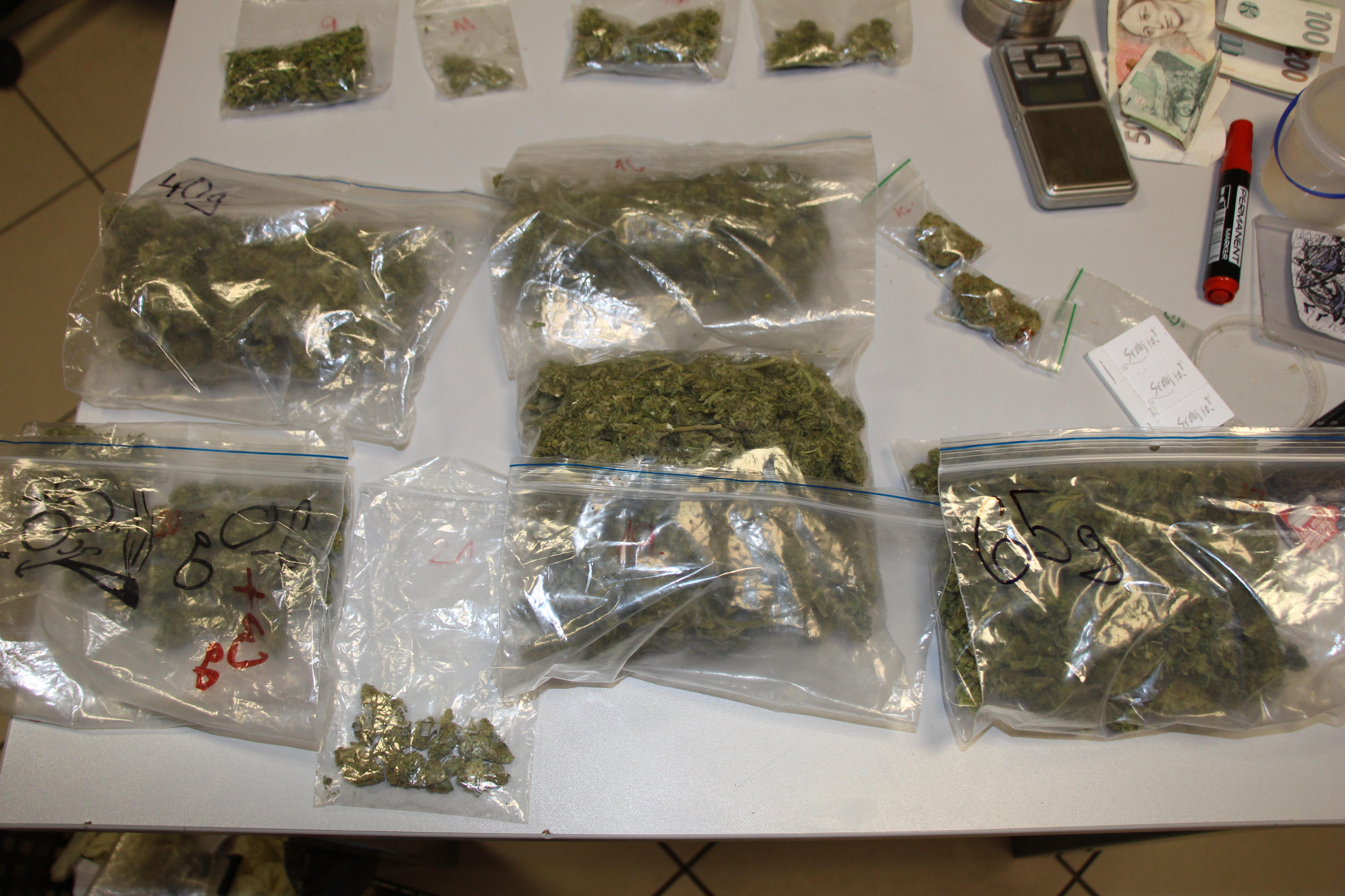 Zajištěná marihuana.JPG