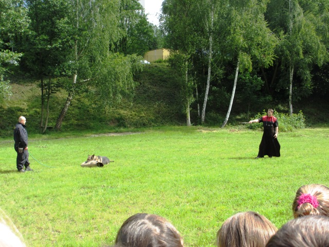 Zákrok proti nebezpečnému pachateli