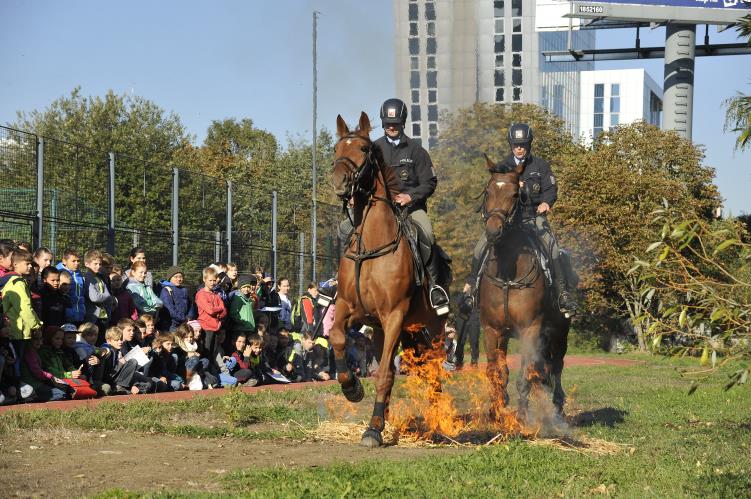 Závěrečný vyhodnocovací den