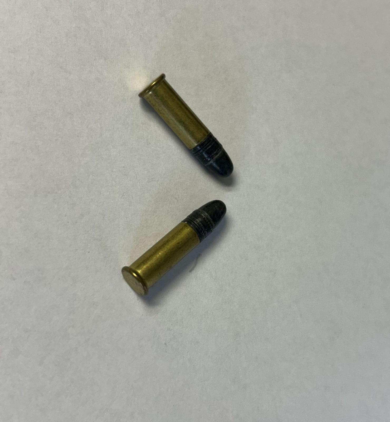 Zbraňová amnestie 22 LR.jpg