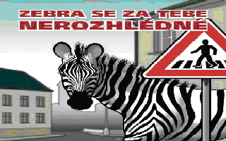 Zebra