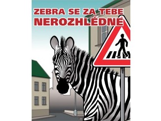 Zebra 00 letáček