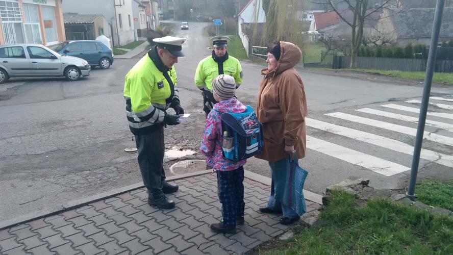 Zebra 1.4.2015 - Kačice