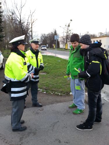 Zebra 2015 Třinec