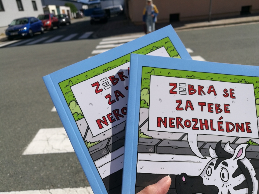 Zebra 2019