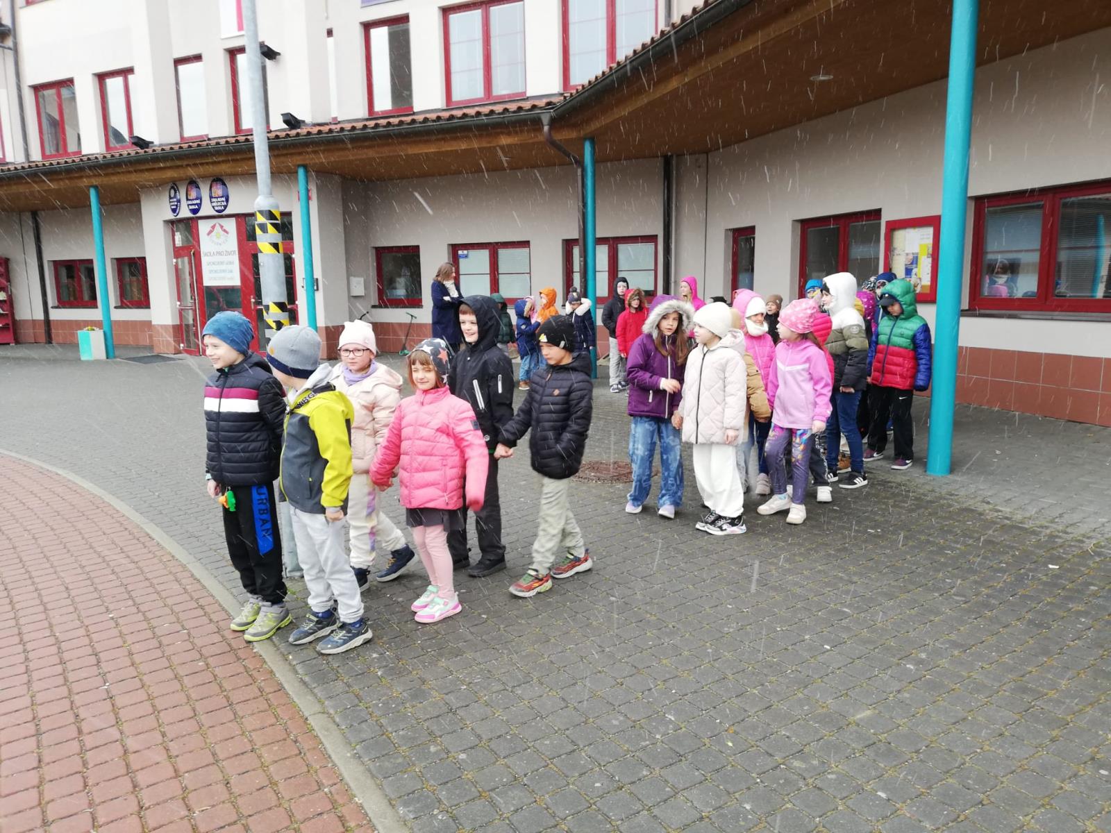 Zebra 2026 - nácvik přecházení (1)